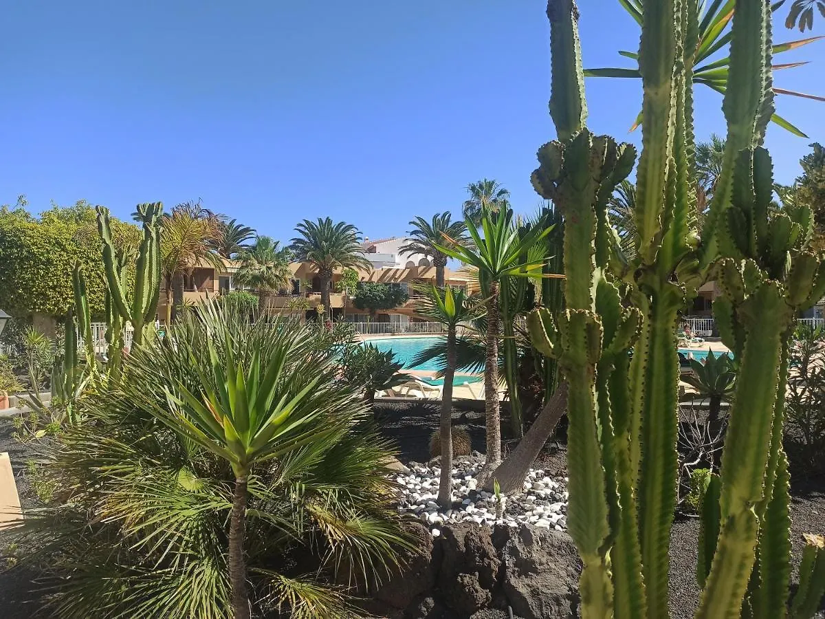 Elrincondesara Apartment Corralejo